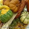 Bountiful Harvest